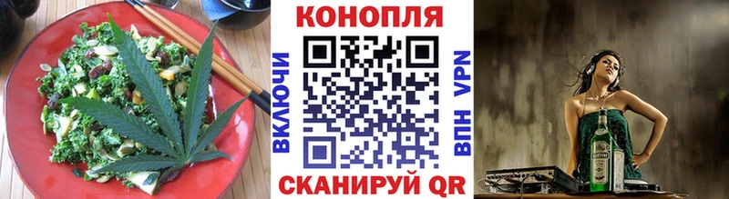 Купить где  Куровское  Canna-Cookies конопля 