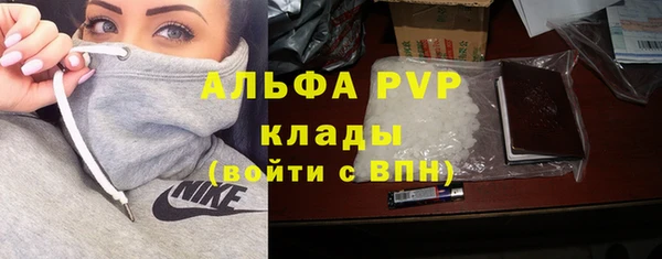 прущие крисы Кодинск
