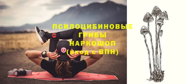 прущие крисы Кодинск