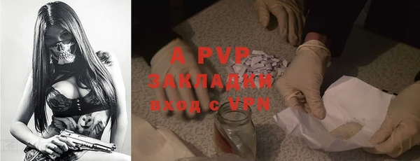 прущие крисы Кодинск