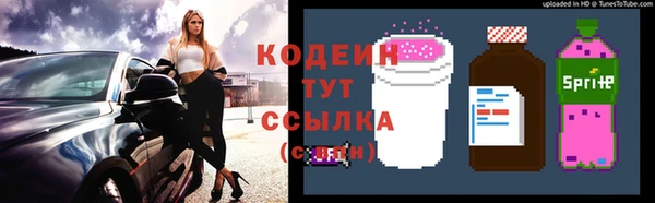 прущие крисы Кодинск