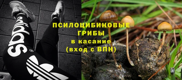 прущие крисы Кодинск