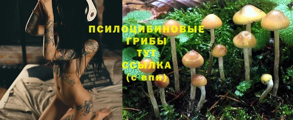 ECSTASY Козловка