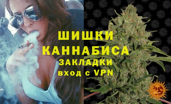 прущие крисы Кодинск
