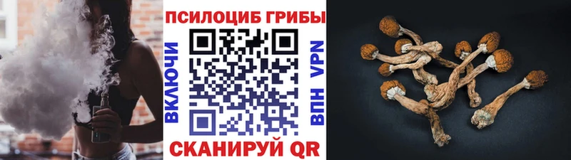 Галлюциногенные грибы Psilocybine cubensis  Купить закладки  Куровское 