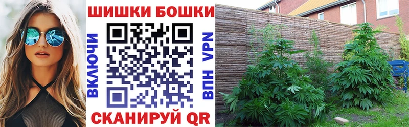 Купить закладки  Куровское  МАРИХУАНА Ganja 
